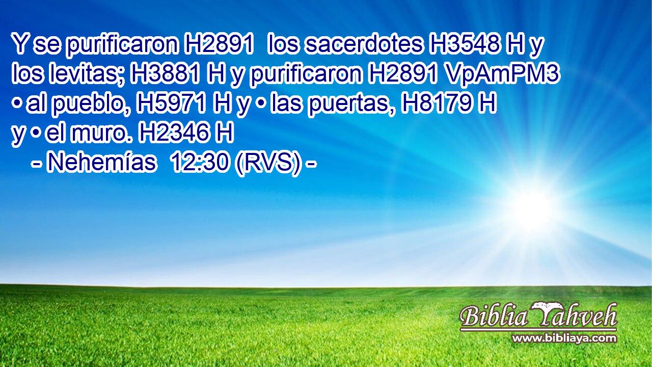 Y se purificaron H2891  los sacerdotes H3548 H y los levitas; H3881 H y purificaron H2891 VpAmPM3 • al pueblo, H5971 H y • las puertas, H8179 H y • el muro. H2346 H 
