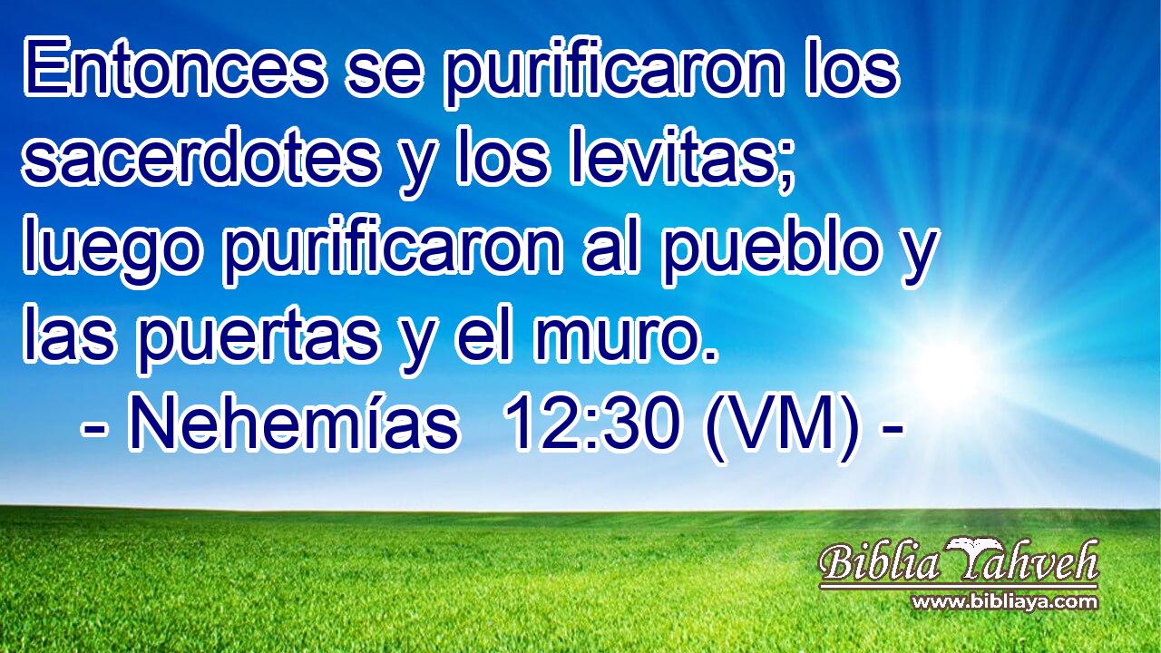  Entonces se purificaron los sacerdotes y los levitas; luego purificaron al pueblo y las puertas y el muro. 