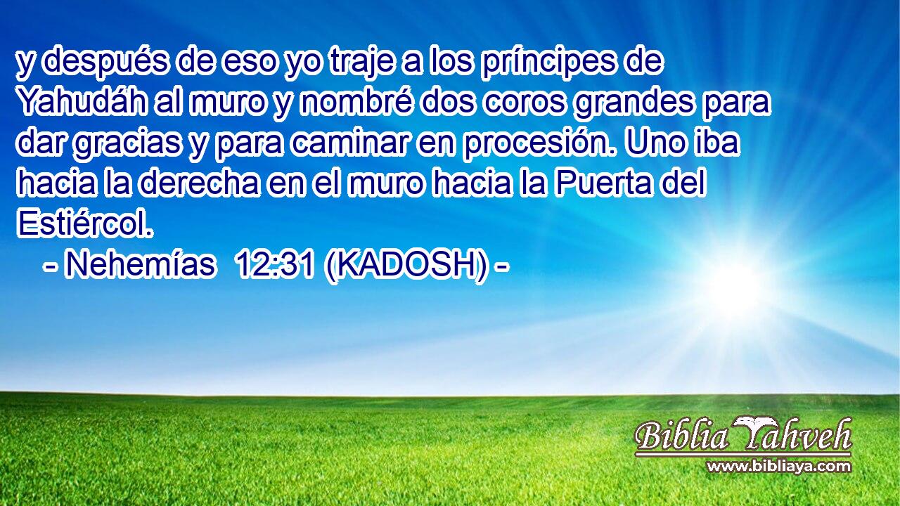  y después de eso yo traje a los príncipes de Yahudáh al muro y nombré dos coros grandes para dar gracias y para caminar en procesión. Uno iba hacia la derecha en el muro hacia la Puerta del Estiércol. 