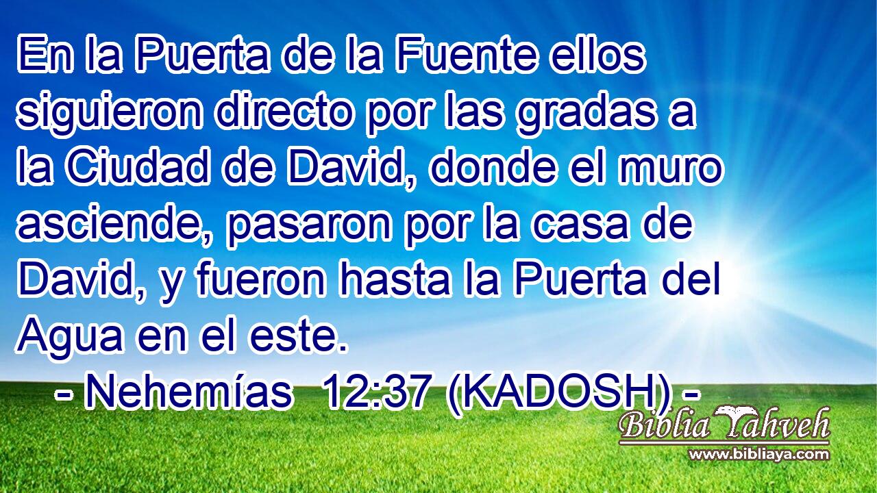  En la Puerta de la Fuente ellos siguieron directo por las gradas a la Ciudad de David, donde el muro asciende, pasaron por la casa de David, y fueron hasta la Puerta del Agua en el este. 
