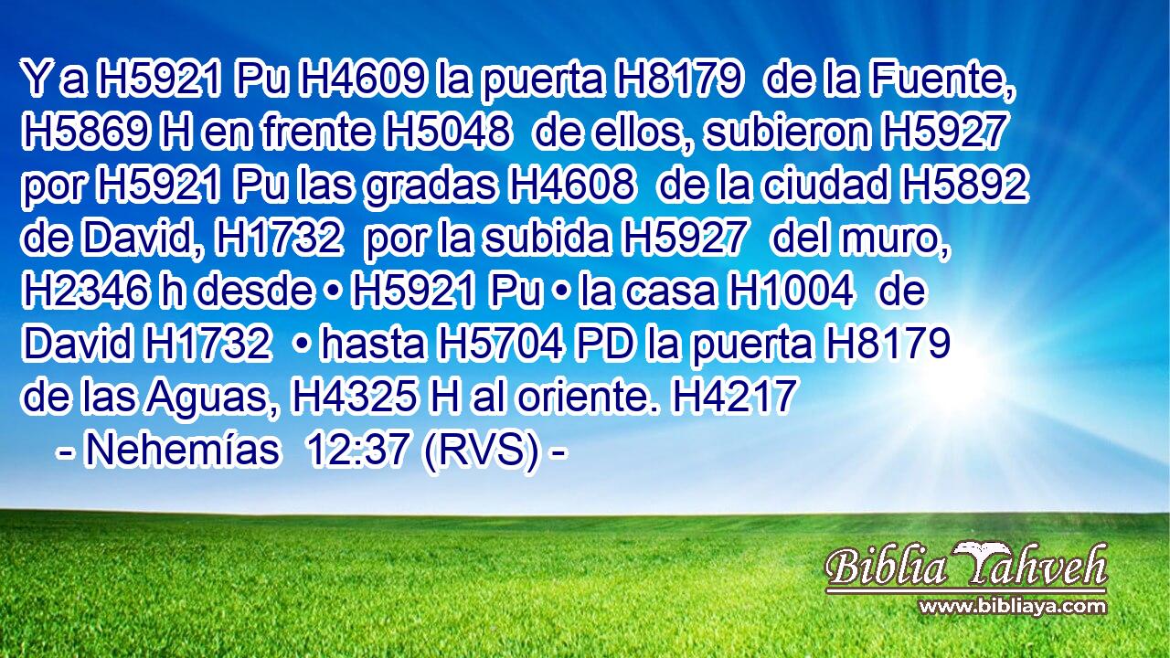 Y a H5921 Pu H4609 la puerta H8179  de la Fuente, H5869 H en frente H5048  de ellos, subieron H5927  por H5921 Pu las gradas H4608  de la ciudad H5892  de David, H1732  por la subida H5927  del muro, H2346 h desde • H5921 Pu • la casa H1004  de David H1732  • hasta H5704 PD la puerta H8179  de las Aguas, H4325 H al oriente. H4217  