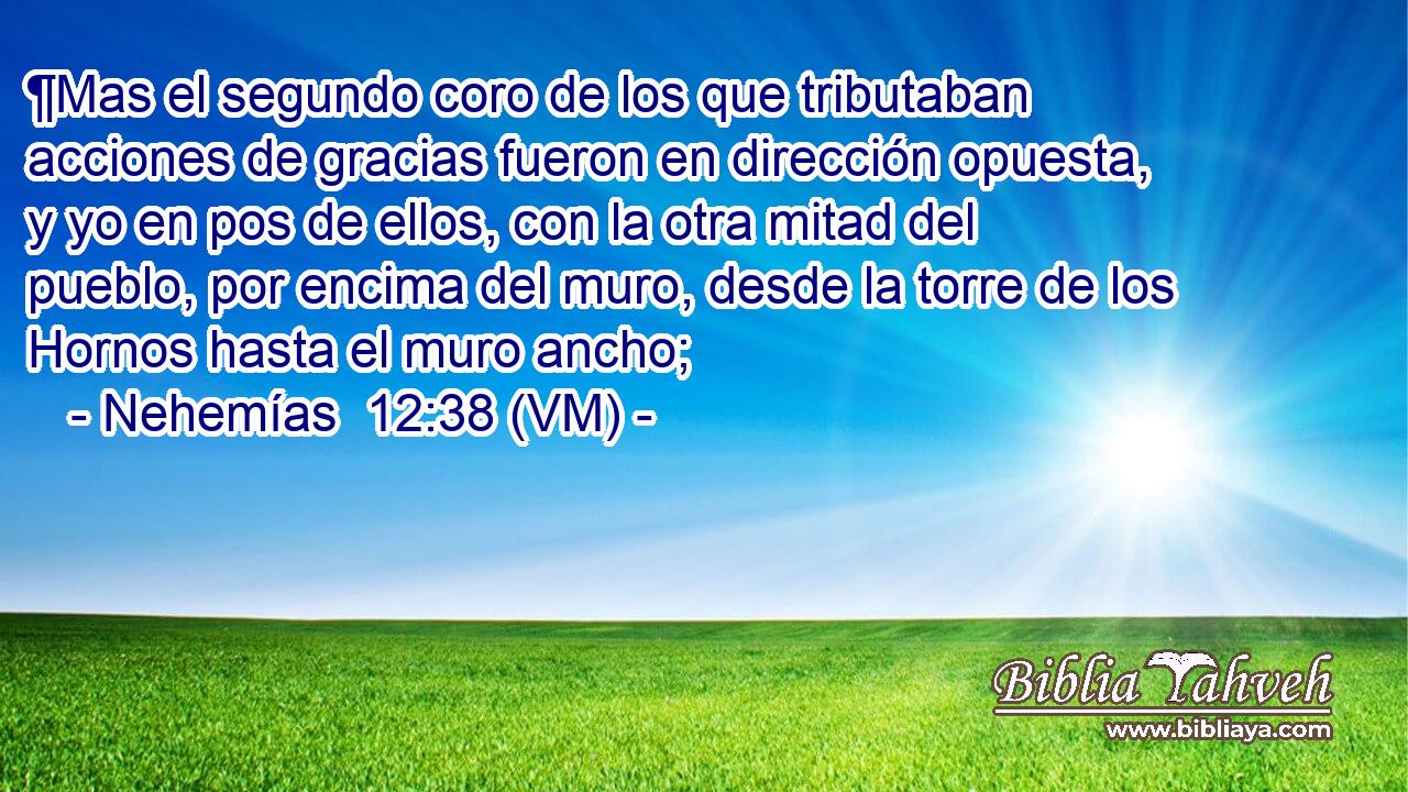  ¶Mas el segundo coro de los que tributaban acciones de gracias fueron en dirección opuesta, y yo en pos de ellos, con la otra mitad del pueblo, por encima del muro, desde la torre de los Hornos hasta el muro ancho; 