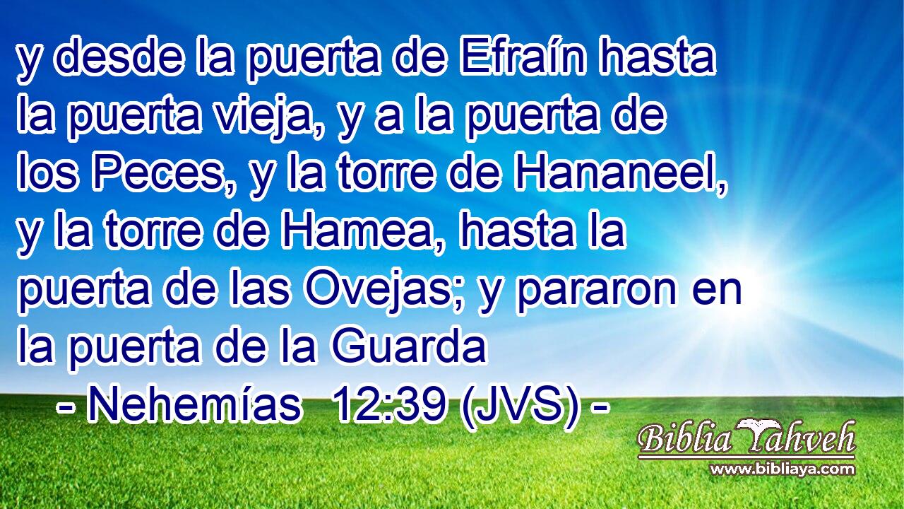 y desde la puerta de Efraín hasta la puerta vieja, y a la puerta de los Peces, y la torre de Hananeel, y la torre de Hamea, hasta la puerta de las Ovejas; y pararon en la puerta de la Guarda