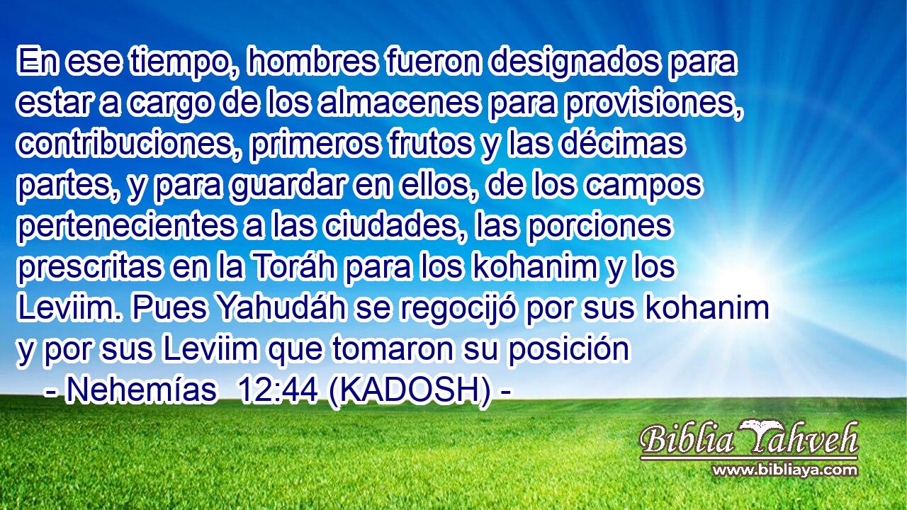  En ese tiempo, hombres fueron designados para estar a cargo de los almacenes para provisiones, contribuciones, primeros frutos y las décimas partes, y para guardar en ellos, de los campos pertenecientes a las ciudades, las porciones prescritas en la Toráh para los kohanim y los Leviim. Pues Yahudáh se regocijó por sus kohanim y por sus Leviim que tomaron su posición 
