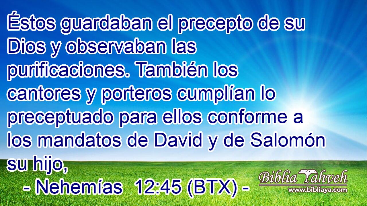 Éstos guardaban el precepto de su Dios y observaban las purificaciones. También los cantores y porteros cumplían lo preceptuado para ellos conforme a los mandatos de David y de Salomón su hijo,
