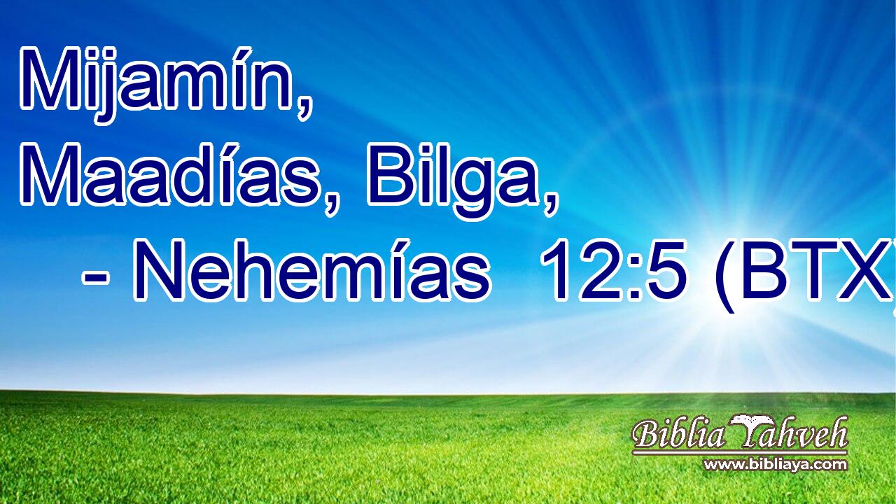 Mijamín, Maadías, Bilga,