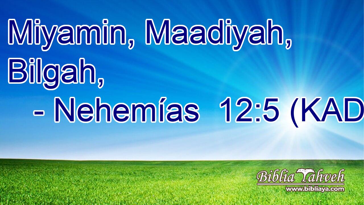  Miyamin, Maadiyah, Bilgah, 