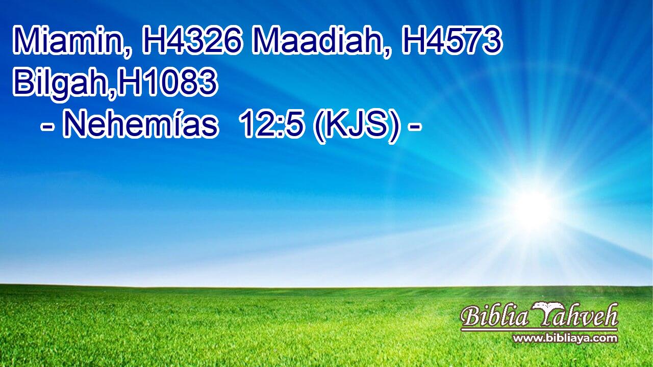 Miamin, H4326 Maadiah, H4573 Bilgah,H1083
