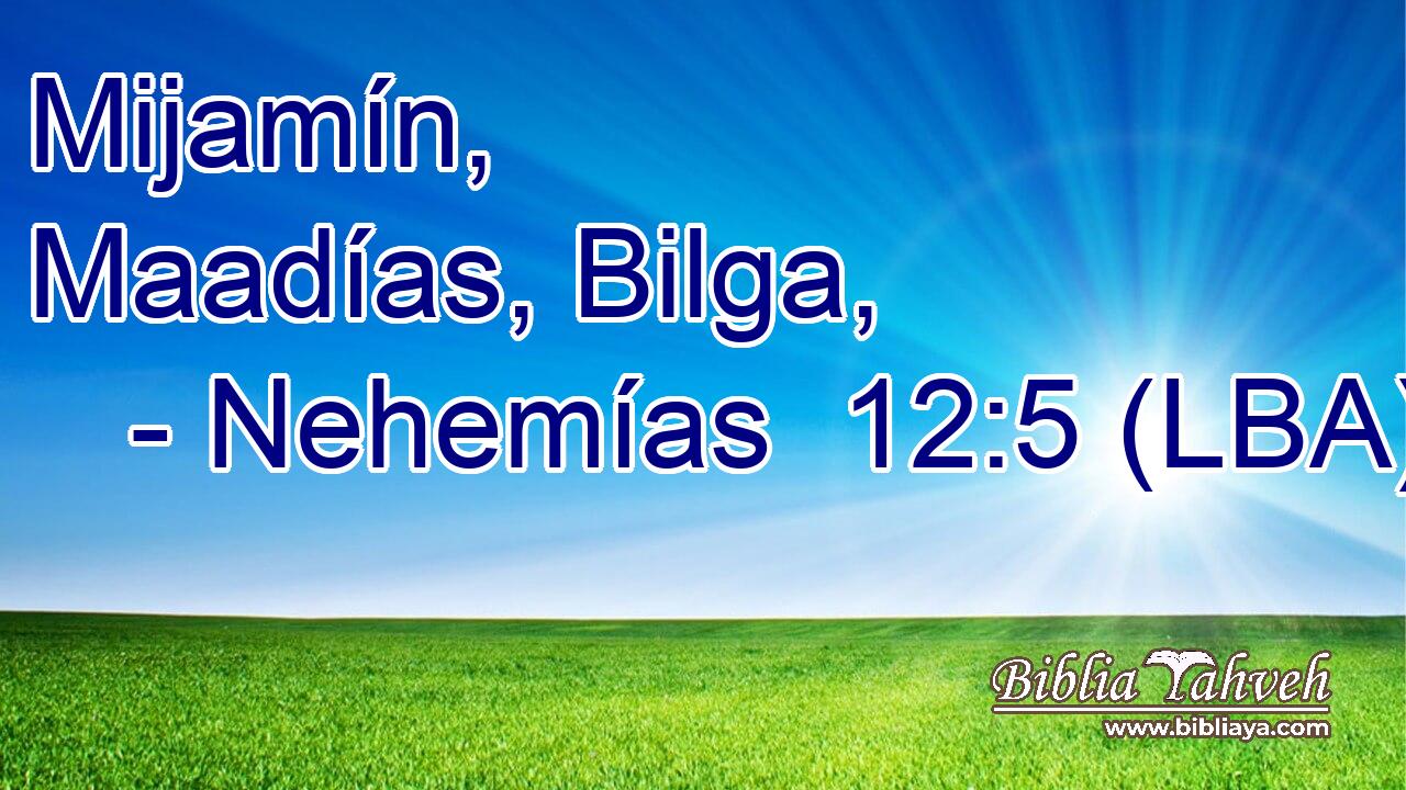 Mijamín, Maadías, Bilga,