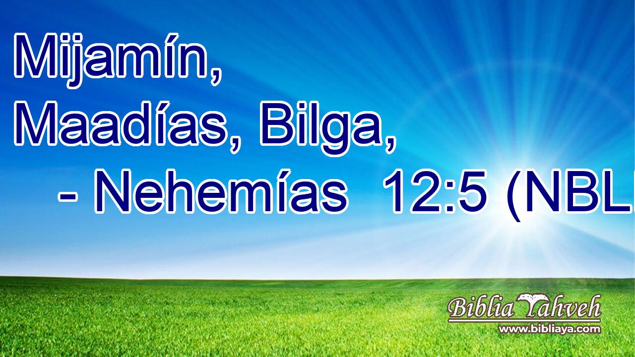  Mijamín, Maadías, Bilga, 