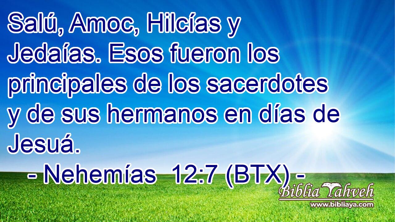 Salú, Amoc, Hilcías y Jedaías. Esos fueron los principales de los sacerdotes y de sus hermanos en días de Jesuá.