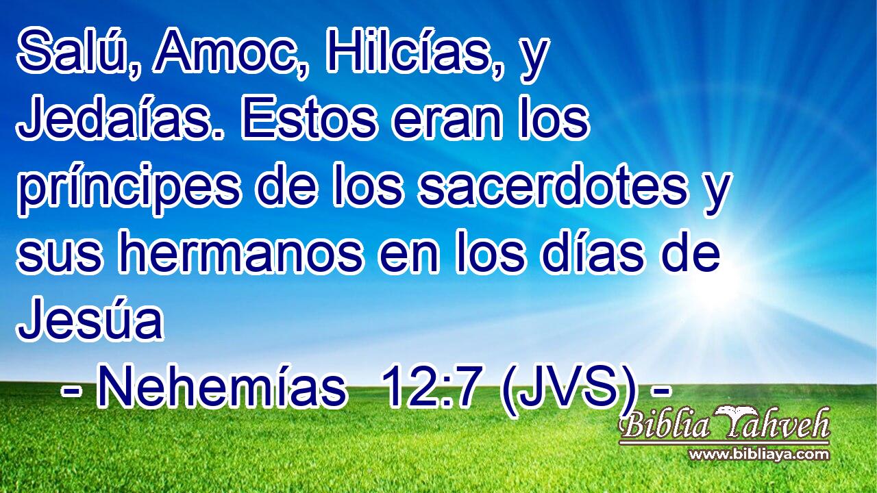 Salú, Amoc, Hilcías, y Jedaías. Estos eran los príncipes de los sacerdotes y sus hermanos en los días de Jesúa