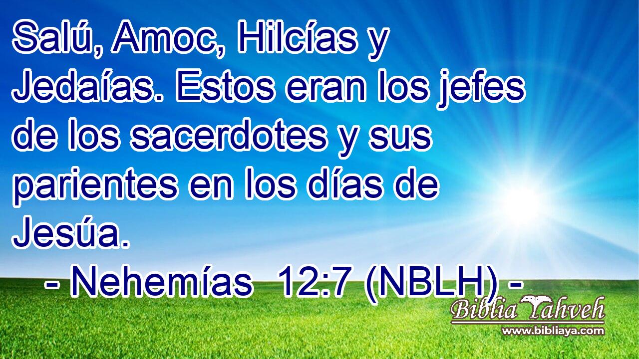  Salú, Amoc, Hilcías y Jedaías. Estos eran los jefes de los sacerdotes y sus parientes en los días de Jesúa. 