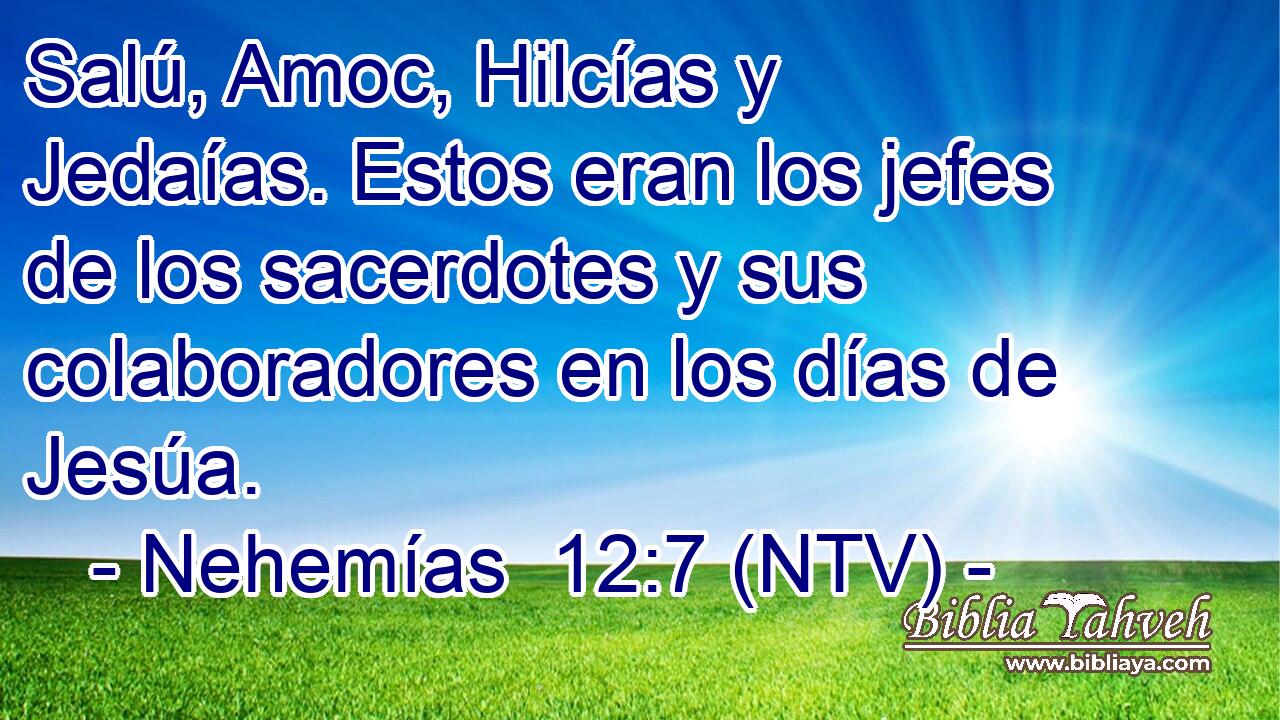 Salú, Amoc, Hilcías y Jedaías. Estos eran los jefes de los sacerdotes y sus colaboradores en los días de Jesúa.