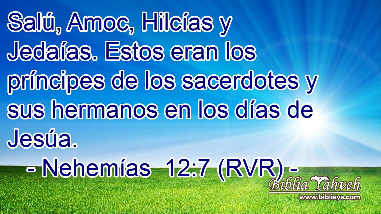 Salú, Amoc, Hilcías y Jedaías. Estos eran los príncipes de los sacerdotes y sus hermanos en los días de Jesúa.