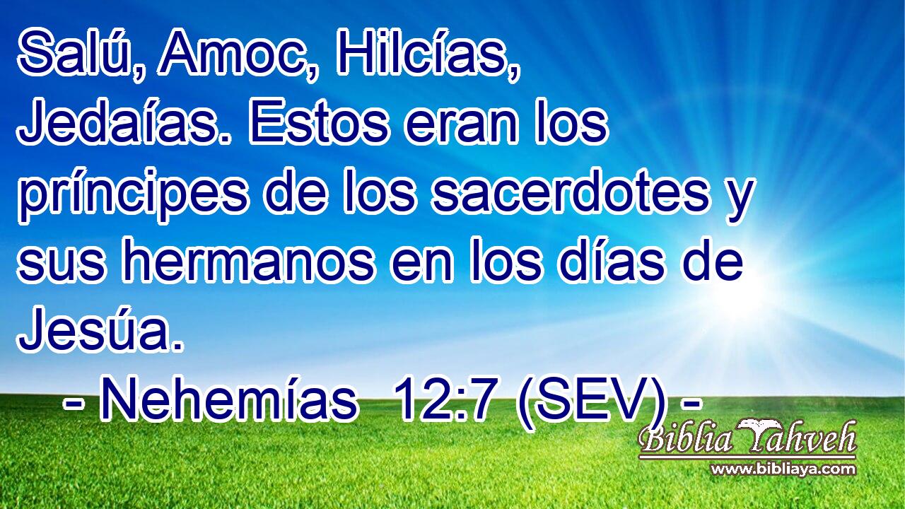 Salú, Amoc, Hilcías, Jedaías. Estos eran los príncipes de los sacerdotes y sus hermanos en los días de Jesúa.