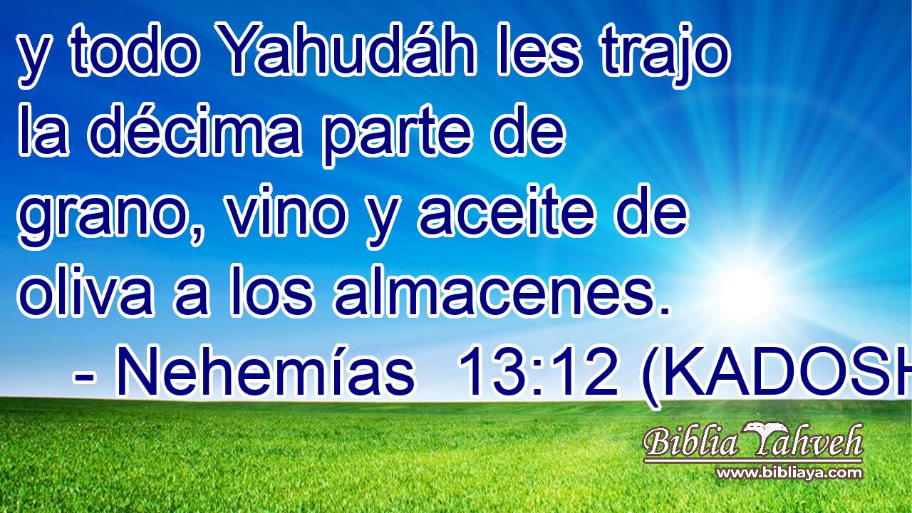  y todo Yahudáh les trajo la décima parte de grano, vino y aceite de oliva a los almacenes. 