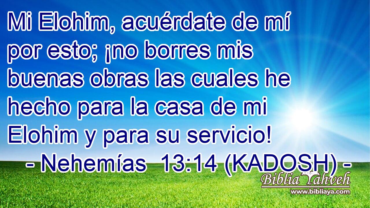  Mi Elohim, acuérdate de mí por esto; ¡no borres mis buenas obras las cuales he hecho para la casa de mi Elohim y para su servicio! 