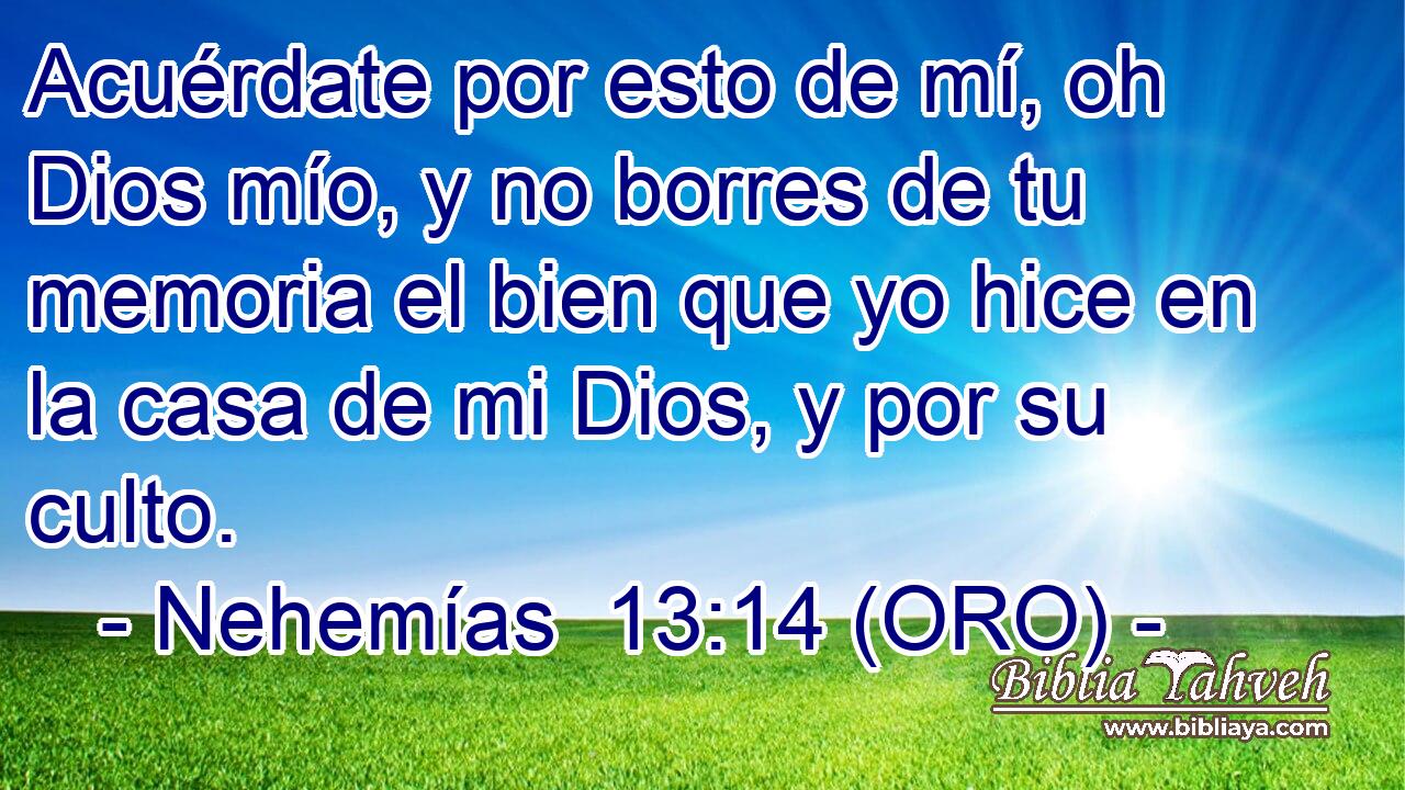  Acuérdate por esto de mí, oh Dios mío, y no borres de tu memoria el bien que yo hice en la casa de mi Dios, y por su culto. 