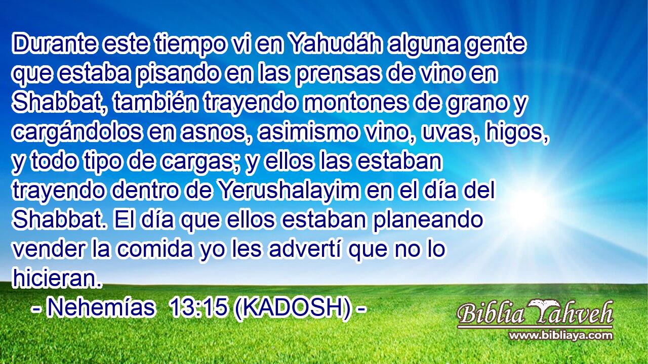  Durante este tiempo vi en Yahudáh alguna gente que estaba pisando en las prensas de vino en Shabbat, también trayendo montones de grano y cargándolos en asnos, asimismo vino, uvas, higos, y todo tipo de cargas; y ellos las estaban trayendo dentro de Yerushalayim en el día del Shabbat. El día que ellos estaban planeando vender la comida yo les advertí que no lo hicieran. 