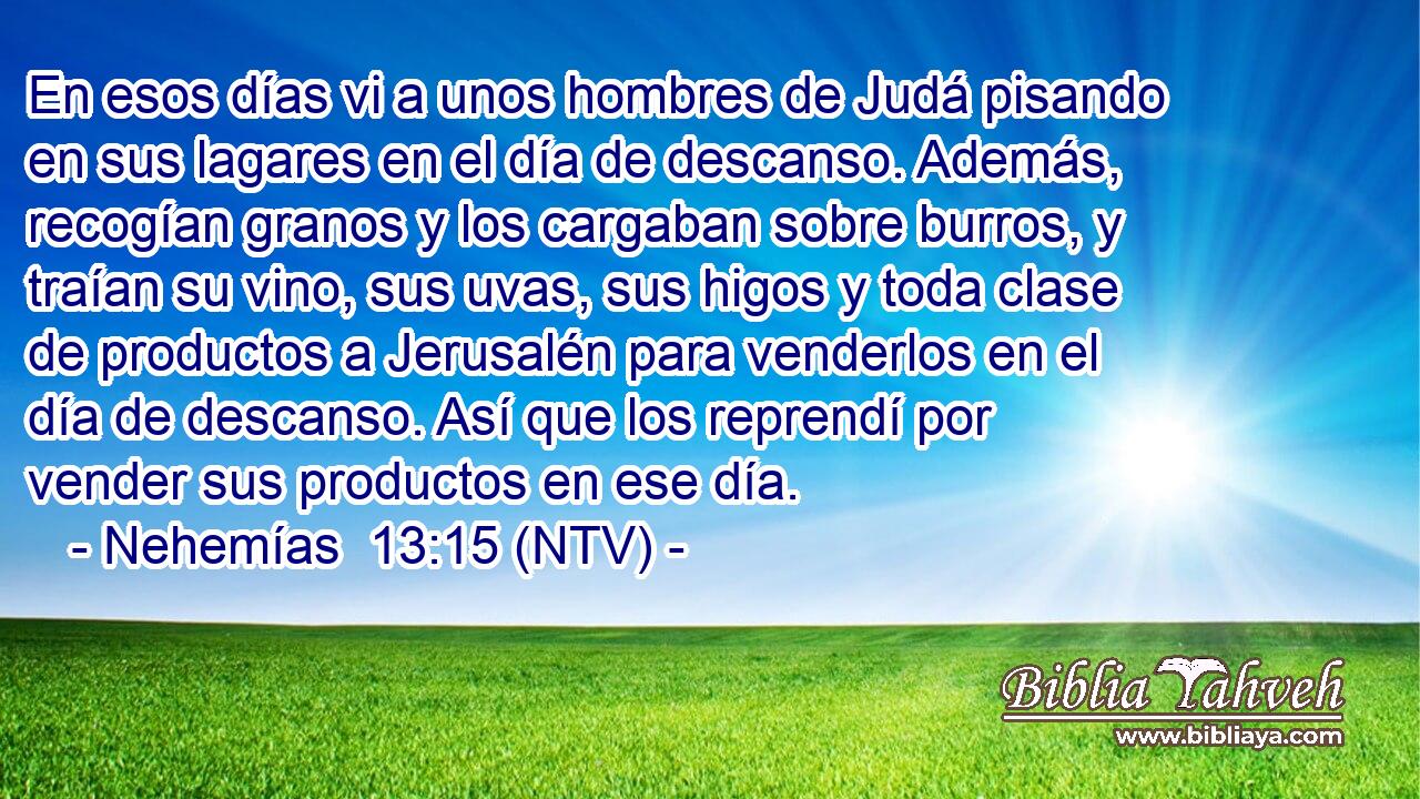 En esos días vi a unos hombres de Judá pisando en sus lagares en el día de descanso. Además, recogían granos y los cargaban sobre burros, y traían su vino, sus uvas, sus higos y toda clase de productos a Jerusalén para venderlos en el día de descanso. Así que los reprendí por vender sus productos en ese día.