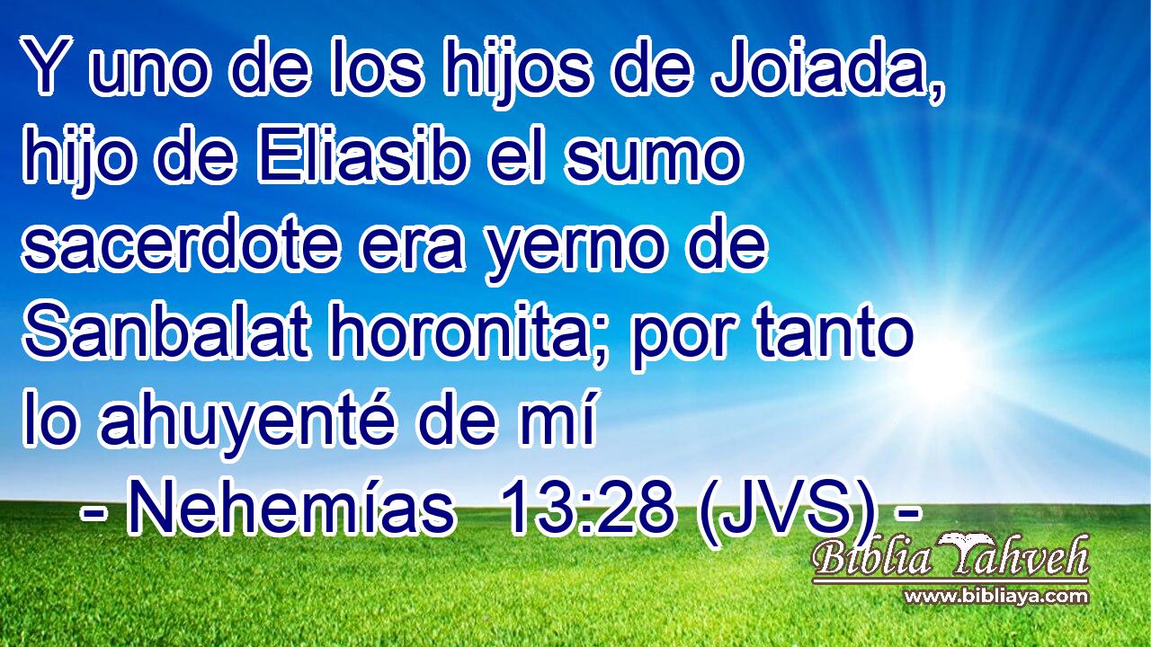 Y uno de los hijos de Joiada, hijo de Eliasib el sumo sacerdote era yerno de Sanbalat horonita; por tanto lo ahuyenté de mí