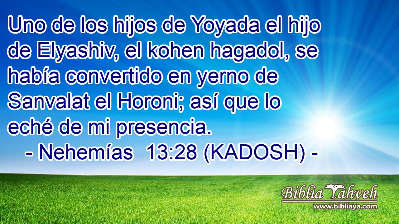  Uno de los hijos de Yoyada el hijo de Elyashiv, el kohen hagadol, se había convertido en yerno de Sanvalat el Horoni; así que lo eché de mi presencia. 