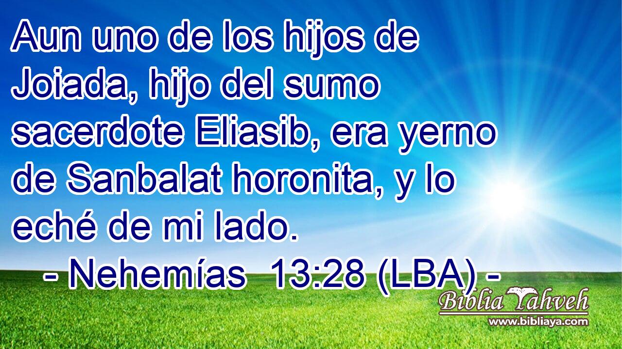 Aun uno de los hijos de Joiada, hijo del sumo sacerdote Eliasib, era yerno de Sanbalat horonita, y lo eché de mi lado.