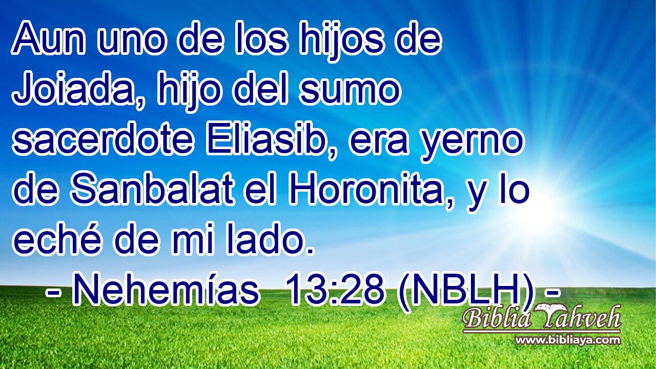  Aun uno de los hijos de Joiada, hijo del sumo sacerdote Eliasib, era yerno de Sanbalat el Horonita, y lo eché de mi lado. 