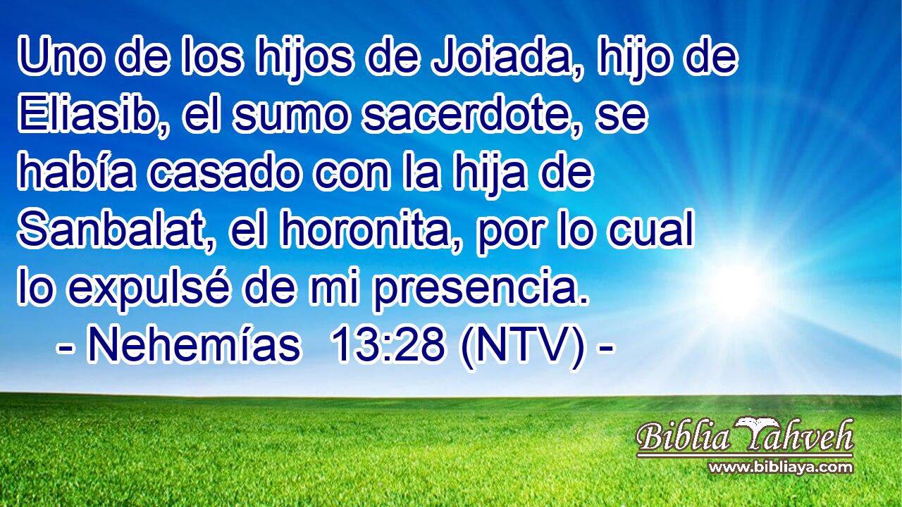 Uno de los hijos de Joiada, hijo de Eliasib, el sumo sacerdote, se había casado con la hija de Sanbalat, el horonita, por lo cual lo expulsé de mi presencia.
