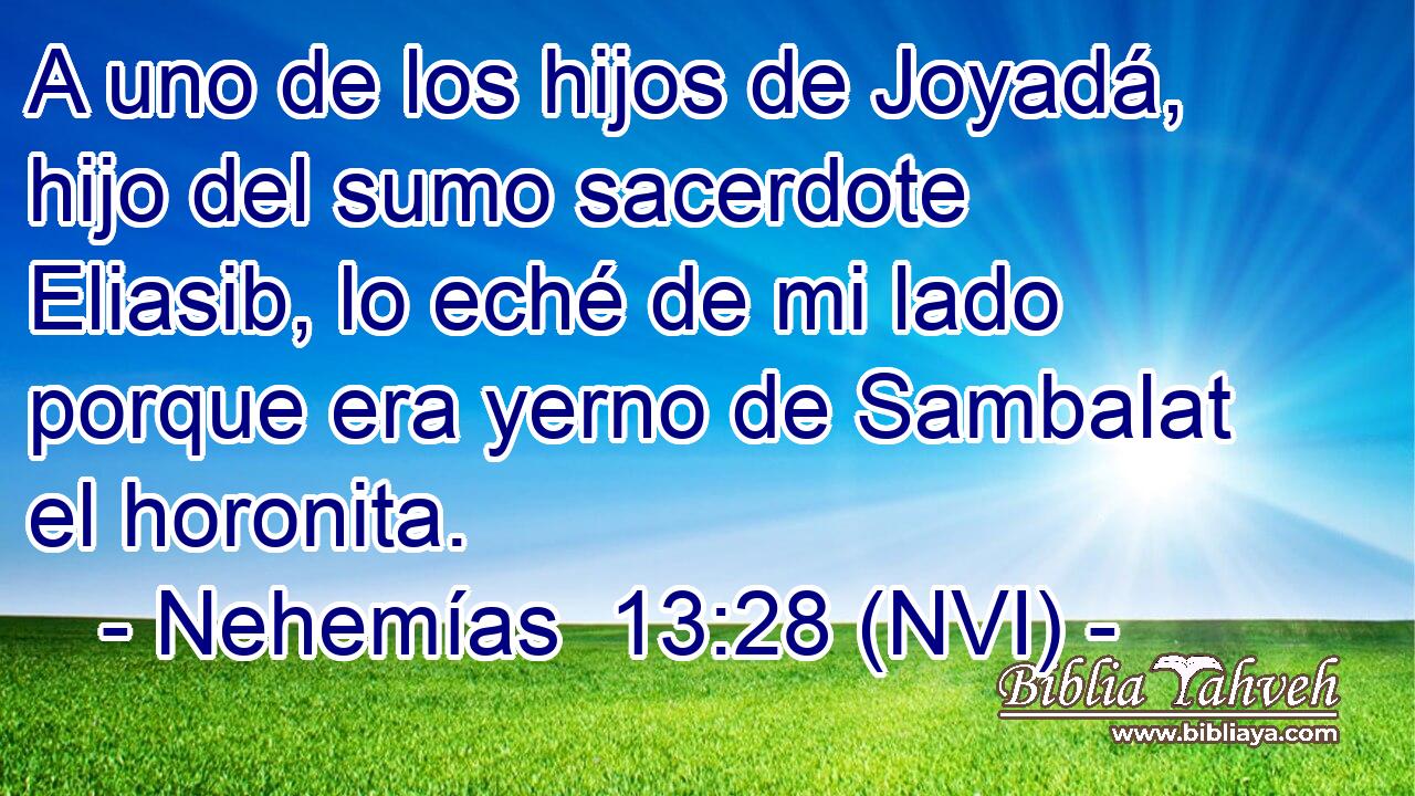  A uno de los hijos de Joyadá, hijo del sumo sacerdote Eliasib, lo eché de mi lado porque era yerno de Sambalat el horonita. 