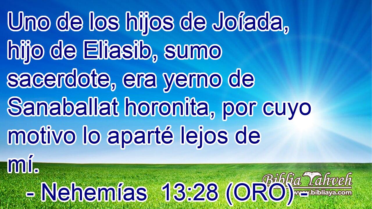  Uno de los hijos de Joíada, hijo de Eliasib, sumo sacerdote, era yerno de Sanaballat horonita, por cuyo motivo lo aparté lejos de mí. 