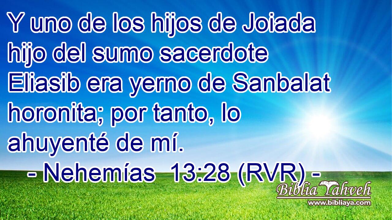 Y uno de los hijos de Joiada hijo del sumo sacerdote Eliasib era yerno de Sanbalat horonita; por tanto, lo ahuyenté de mí.
