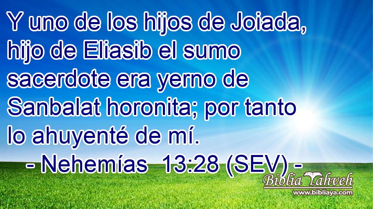 Y uno de los hijos de Joiada, hijo de Eliasib el sumo sacerdote era yerno de Sanbalat horonita; por tanto lo ahuyenté de mí.