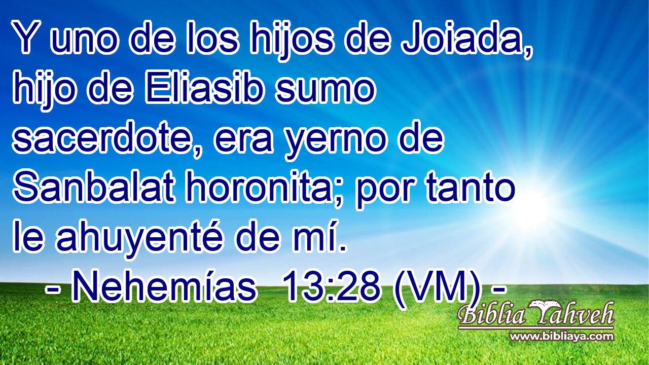  Y uno de los hijos de Joiada, hijo de Eliasib sumo sacerdote, era yerno de Sanbalat horonita; por tanto le ahuyenté de mí. 