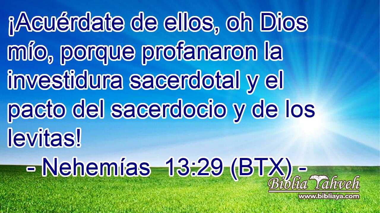 ¡Acuérdate de ellos, oh Dios mío, porque profanaron la investidura sacerdotal y el pacto del sacerdocio y de los levitas!