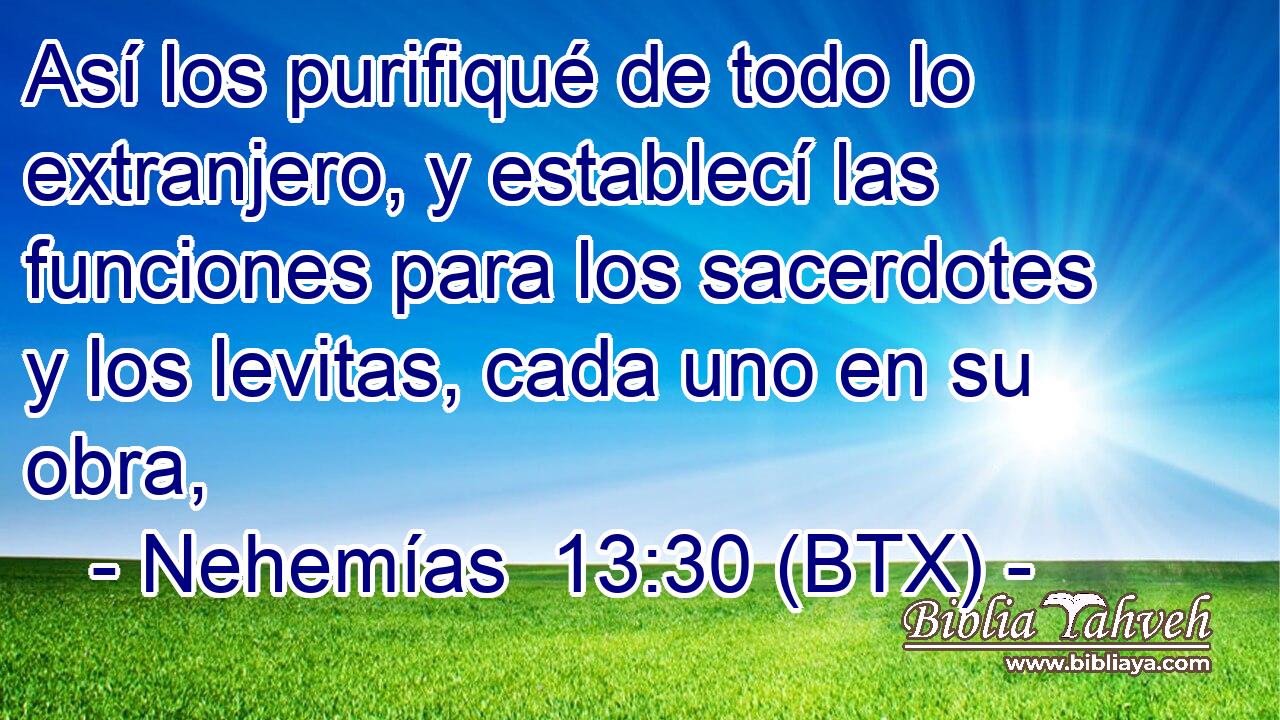 Así los purifiqué de todo lo extranjero, y establecí las funciones para los sacerdotes y los levitas, cada uno en su obra,