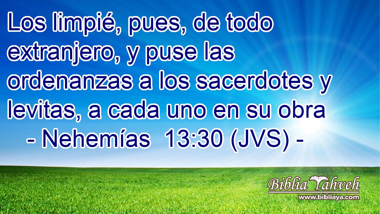 Los limpié, pues, de todo extranjero, y puse las ordenanzas a los sacerdotes y levitas, a cada uno en su obra