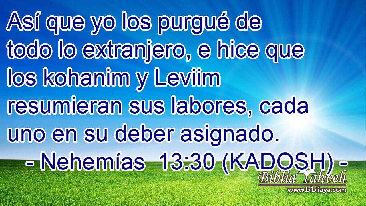  Así que yo los purgué de todo lo extranjero, e hice que los kohanim y Leviim resumieran sus labores, cada uno en su deber asignado. 