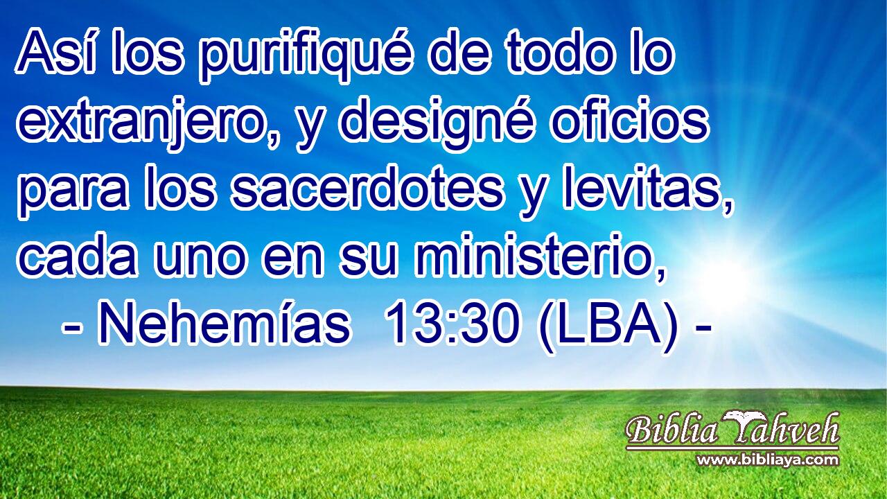 Así los purifiqué de todo lo extranjero, y designé oficios para los sacerdotes y levitas, cada uno en su ministerio,