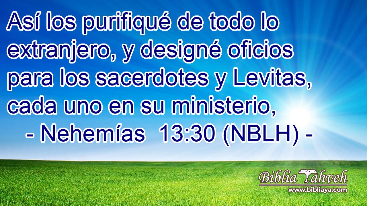  Así los purifiqué de todo lo extranjero, y designé oficios para los sacerdotes y Levitas, cada uno en su ministerio, 