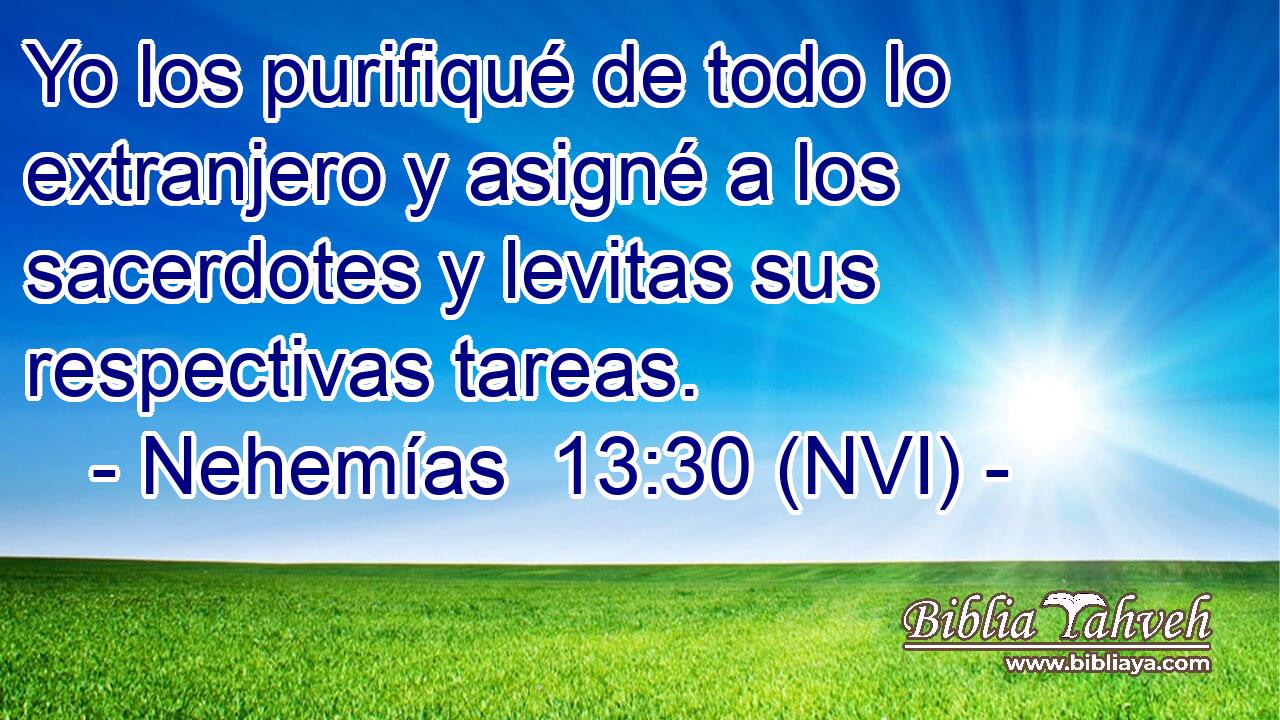  Yo los purifiqué de todo lo extranjero y asigné a los sacerdotes y levitas sus respectivas tareas. 