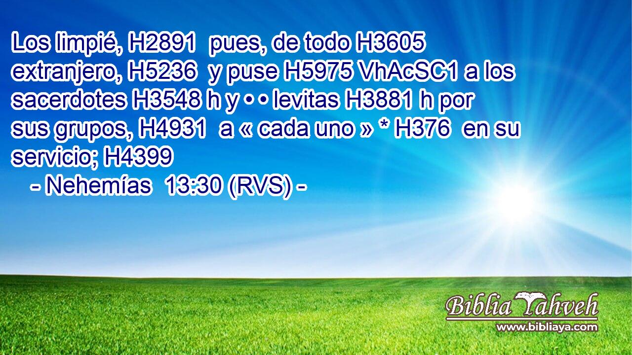 Los limpié, H2891  pues, de todo H3605  extranjero, H5236  y puse H5975 VhAcSC1 a los sacerdotes H3548 h y • • levitas H3881 h por sus grupos, H4931  a « cada uno » * H376  en su servicio; H4399  