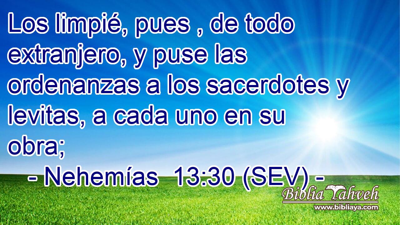 Los limpié, pues , de todo extranjero, y puse las ordenanzas a los sacerdotes y levitas, a cada uno en su obra;