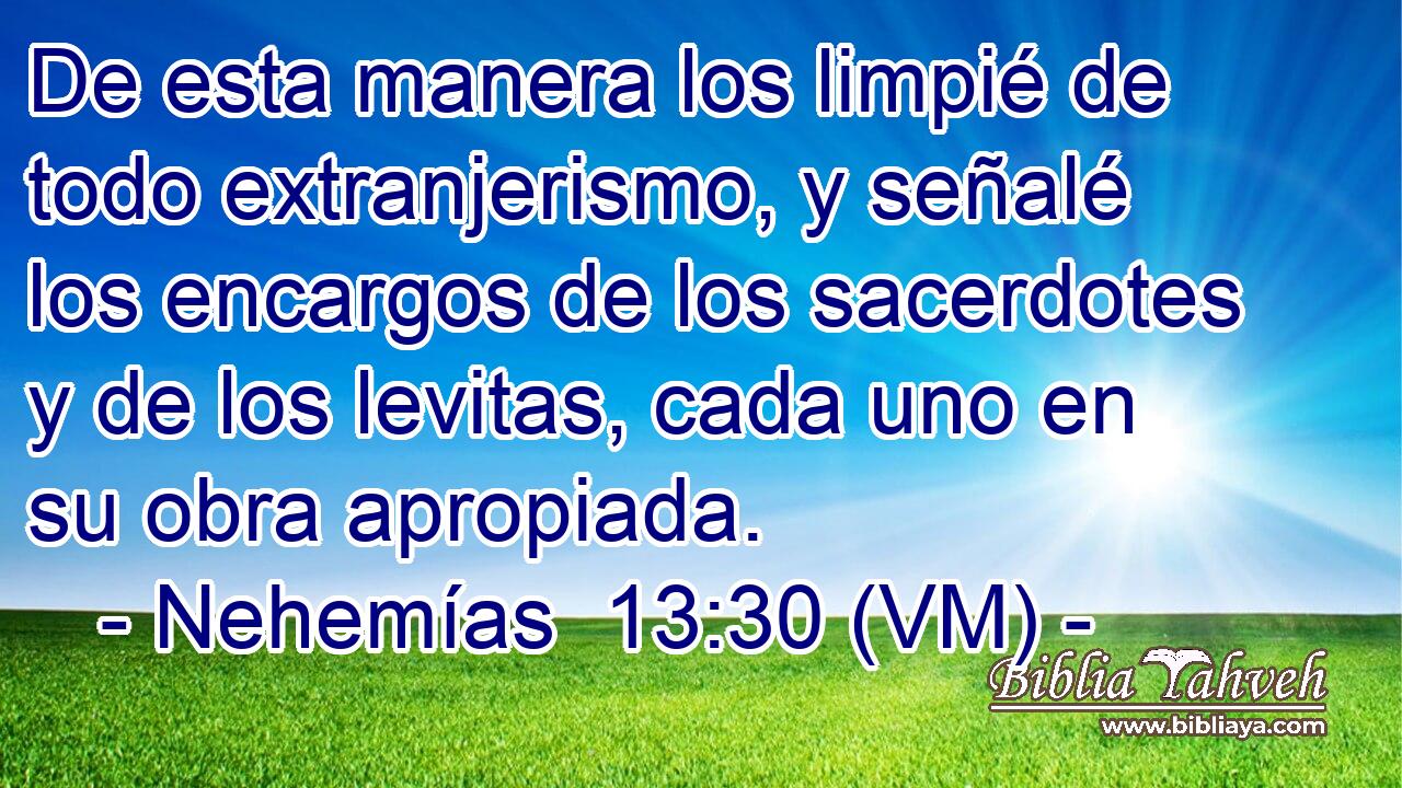  De esta manera los limpié de todo extranjerismo, y señalé los encargos de los sacerdotes y de los levitas, cada uno en su obra apropiada. 