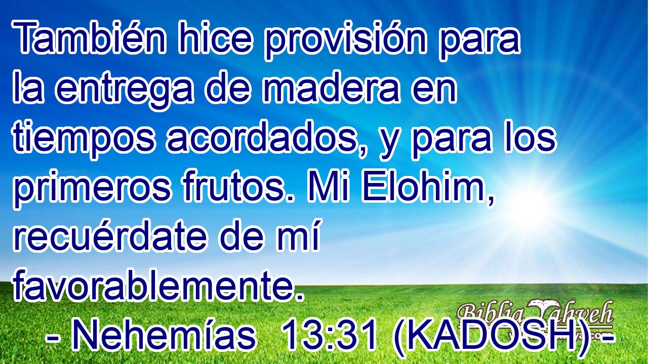  También hice provisión para la entrega de madera en tiempos acordados, y para los primeros frutos. Mi Elohim, recuérdate de mí favorablemente. 