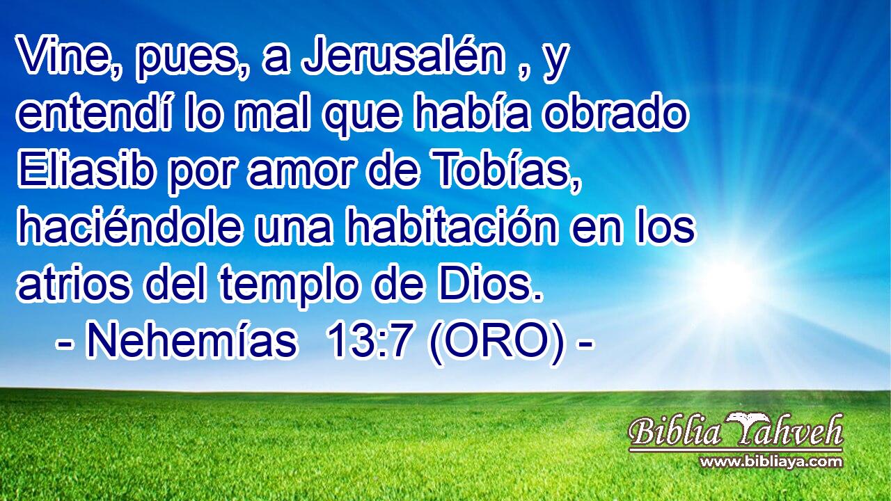  Vine, pues, a Jerusalén , y entendí lo mal que había obrado Eliasib por amor de Tobías, haciéndole una habitación en los atrios del templo de Dios. 