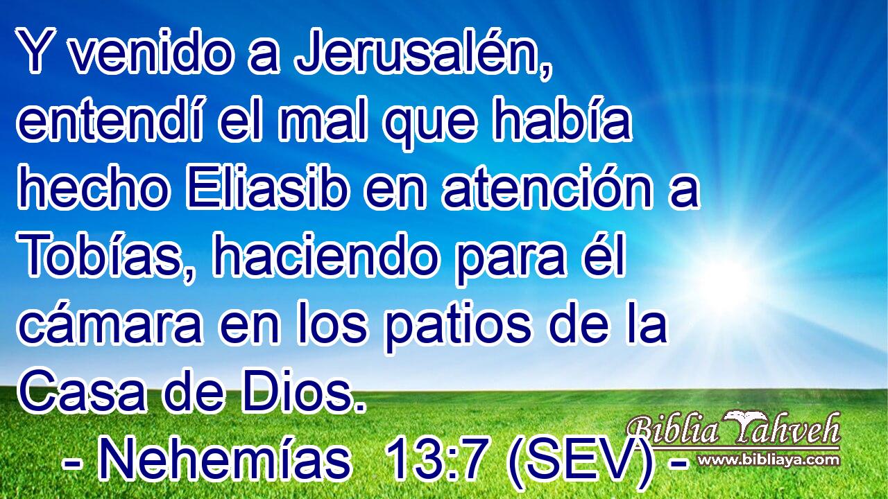 Y venido a Jerusalén, entendí el mal que había hecho Eliasib en atención a Tobías, haciendo para él cámara en los patios de la Casa de Dios.