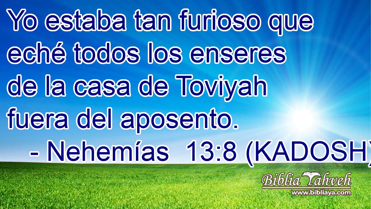  Yo estaba tan furioso que eché todos los enseres de la casa de Toviyah fuera del aposento. 