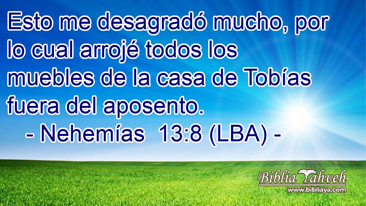 Esto me desagradó mucho, por lo cual arrojé todos los muebles de la casa de Tobías fuera del aposento.